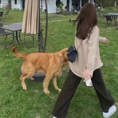 镖行天下前传之编外人选